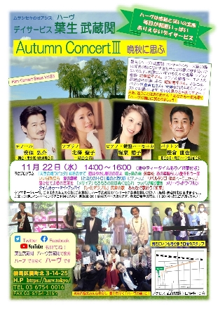 �����������������C���[�W